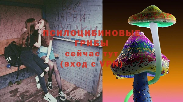 ГАЛЛЮЦИНОГЕННЫЕ ГРИБЫ Балабаново