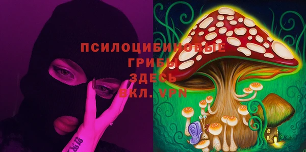 ГАЛЛЮЦИНОГЕННЫЕ ГРИБЫ Балабаново