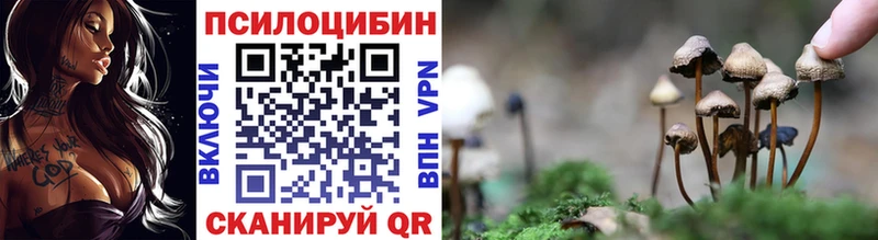 где купить наркоту  Орлов  kraken зеркало  Псилоцибиновые грибы Magic Shrooms 